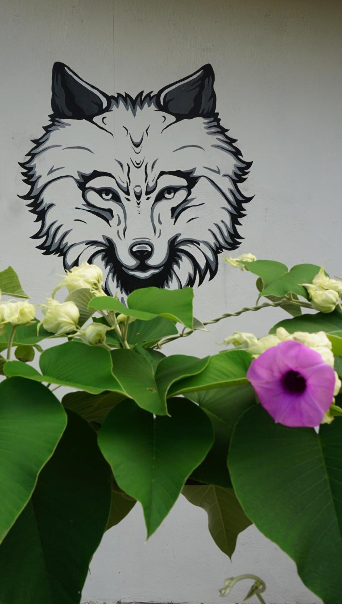 House Of Wolves Hostel Pantai Cenang  Zewnętrze zdjęcie